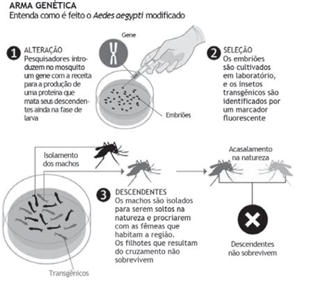 Simulado Do Encceja Ci Ncias Da Natureza E Suas Tecnologias Pravaler