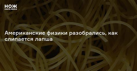 Американские физики разобрались, как слипается лапша — Нож
