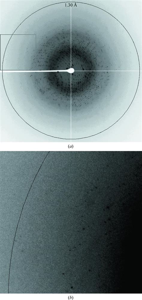 Iucr Cloning Expression Purification Crystallization And