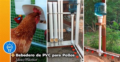 Bebedero Hecho De Tubos De Pvc Para Pollos Tubos De Pvc Soporte De