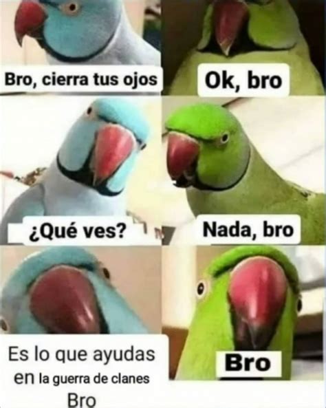 bro? - Meme subido por JajalolxdXdxd :) Memedroid