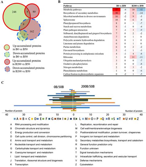 Functional Classifications Of Daps In Response To B Stresses A Venn Download Scientific