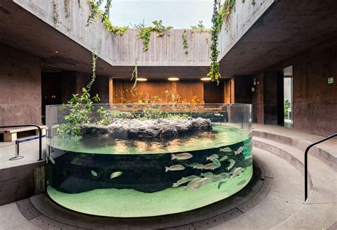 Gran Acuario Mazatlán el acuario más grande de América Latina