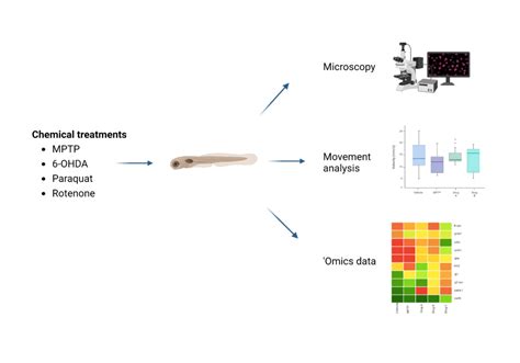 Chemicals Models Of Parkinsons Disease In Larval Zebrafish InVivo