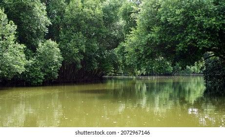 Taman Wisata Alam Mangrove Angke Kapuk Stock Photo