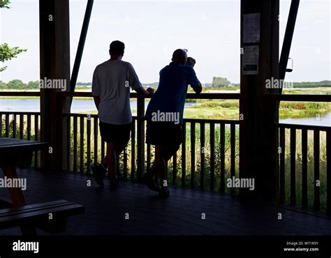 Birdwatchers at North Cave Wetlands, East Yorkshire, England UK Stock Photo - Alamy