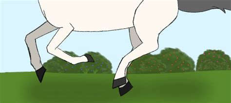 Horse Gallop Animation  By Skittydany On Deviantart