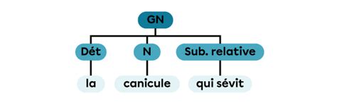 La Subordonn E Relative Secondaire Alloprof