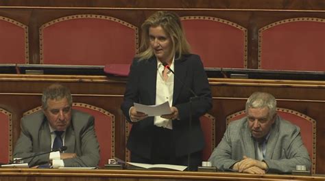 Ponte Sullo Stretto Via Libera Dal Senato Il Decreto Legge