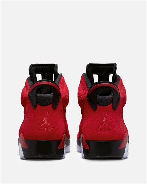 Air Jordan 6 Toro Bravo Svrn