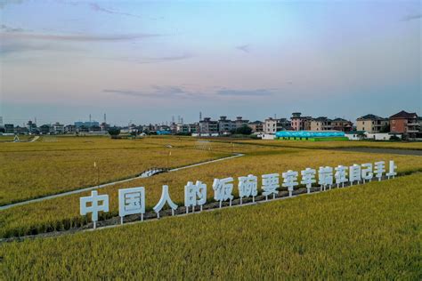 萧山瓜沥镇八里桥村：共富路上促蝶变 乡村让城市更向往