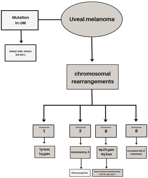 Ijms Free Full Text Genetic And Epigenetic Features Of Uveal