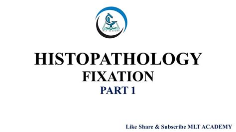 Introduction To Histopathology Fixation Part Youtube