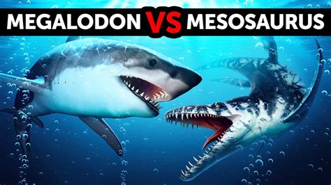 Megalodon Versus Mosasaurus Si Dino Laut Raksasa Mana Yang Lebih Jagoan Youtube