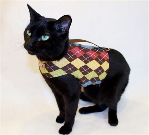 Cat Harness Brown Argyle Cat Harness Cat Clothes Cat Clothing Etsy