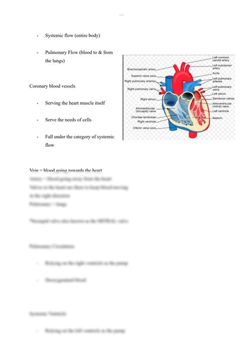 Solution Ati Teas Notes General Anatomy Physiology Of A Human Studypool