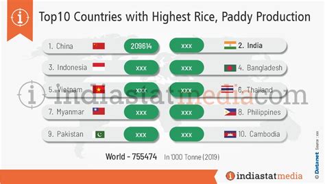 Rice Paddy Production In World Data Infographics On Paddy Rice