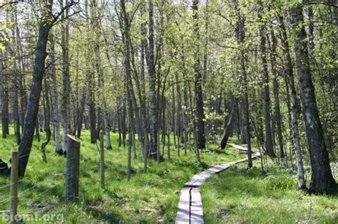 Laajalahti Nature Reserve Espoo - Discovering Finland