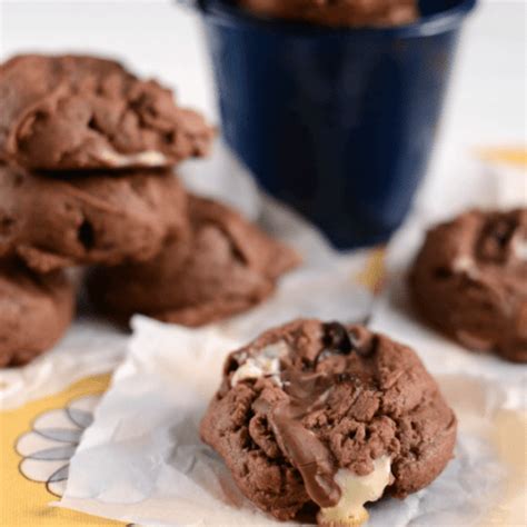 Chocolate Peanut Butter Marshmallow Pudding Cookies Crazy For Crust