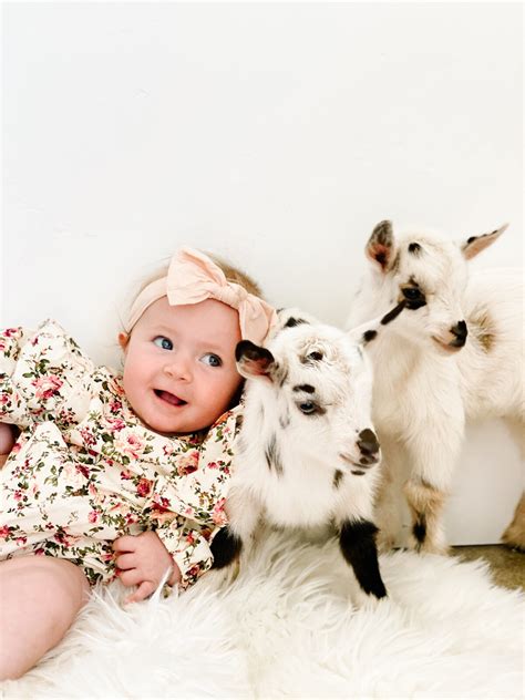 How to Care for Baby Goats - Thermaland Oaks