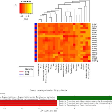 Relative Abundance Of Asvs In Faecal Fhg And Biopsy Wash Samples Bw