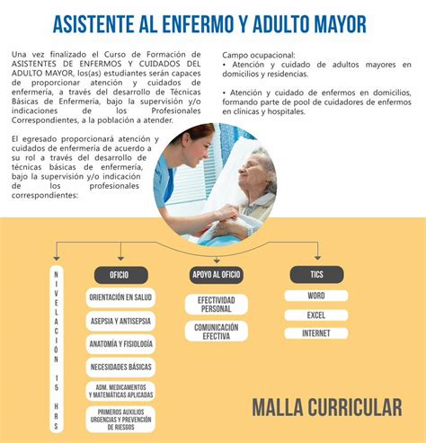 Pdf Asistente Al Enfermo Y Adulto Mayor Fundaci N Curricular