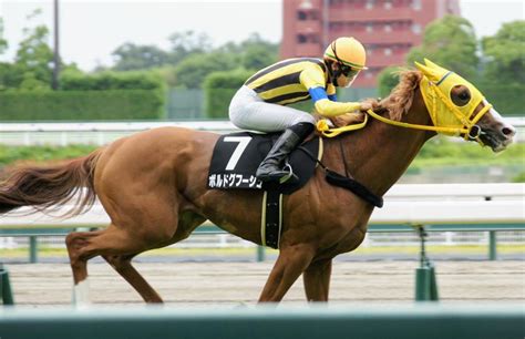 【菊花賞2022】過去データ分析《傾向ピッタリは？》 アギョウトレセン