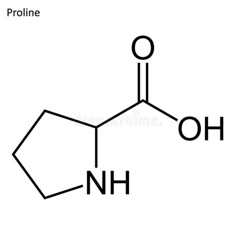 Proline L- Proline, Pro , P Proteinogenic Amino Acid Molecule ...