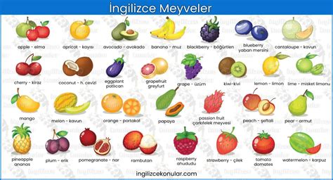 İngilizce Meyveler Türkçe Anlamları ve Okunuşları İngilizce Konular