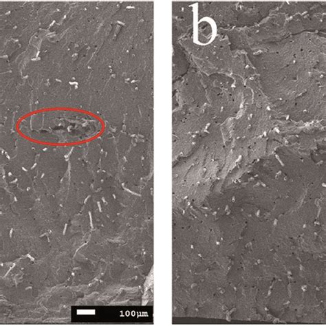 Sem Micrographs Of Brittle Fracture Surface Of A 10ap And B 10pd Ap Download Scientific