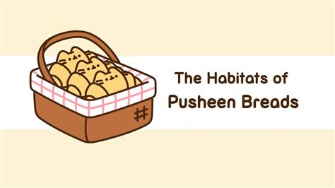 The Habitats Of Pusheen Breads YouTube