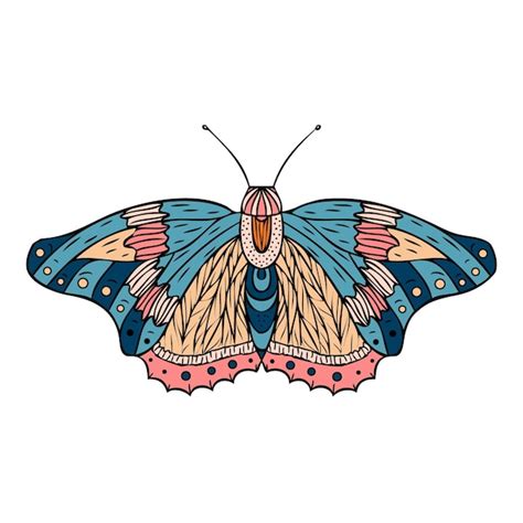 Premium Vector Night Butterfly Moth Hand Drawn Vector Illustration