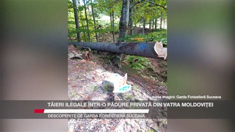 T Ieri Ilegale Ntr O P Dure Privat Din Vatra Moldovi Ei Descoperite