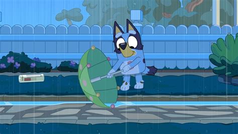 Bluey New Episodes Abc Iview