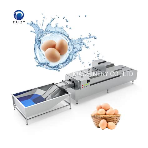 Automatic Egg Cleaner Washer Machine Duck Egg Washing Cleaning Machine