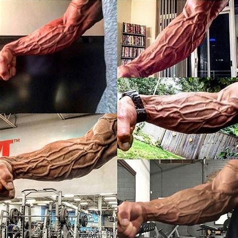 Veins popping like.. | Arm workout, Gym workout tips, Forearm workout