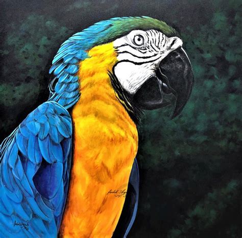 Macaw Painting