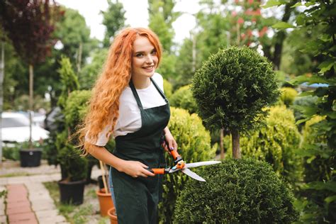 Praca Na Wakacje W Niemczech Bez Ubezpieczenia Serwis Doradztwa