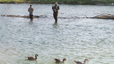 Statewide Opening Day Of Trout Season Is Saturday The Record Online