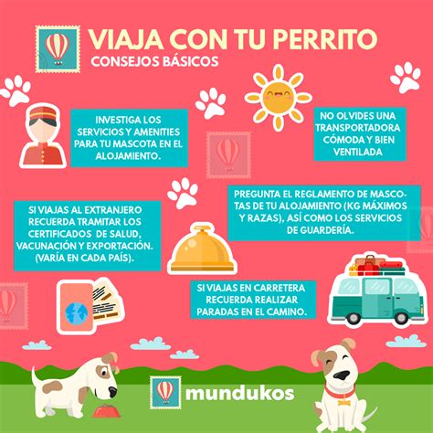 Cómo Viajar Con Un Perro Consejos Que Necesitas Saber Dimension