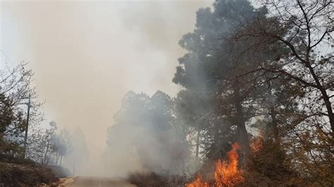 Nuevo León Incendio afecta mil 400 hectáreas de la Sierra de Santiago