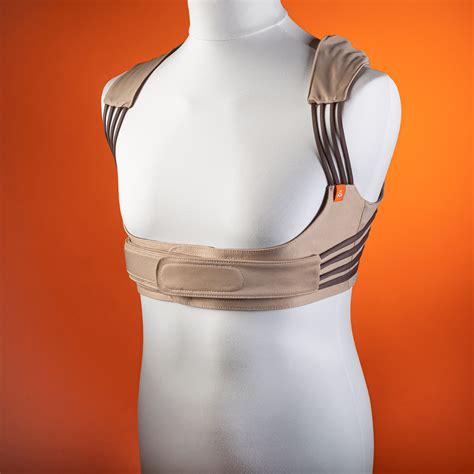 Muscles De La Ceinture Scapulaire Lupon Gov Ph