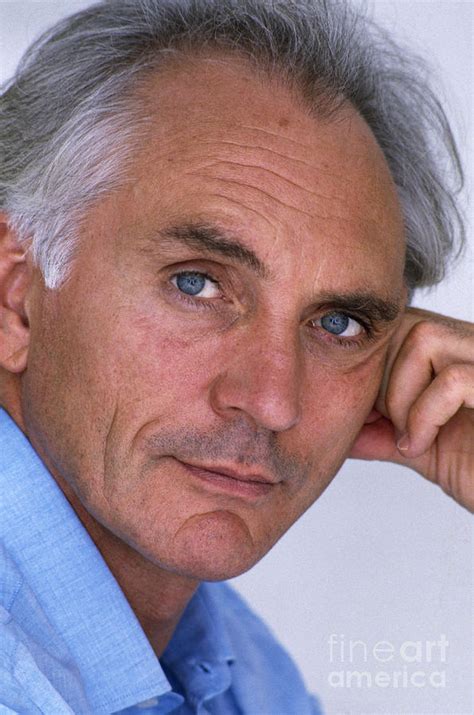 Terence Stamp Filmography