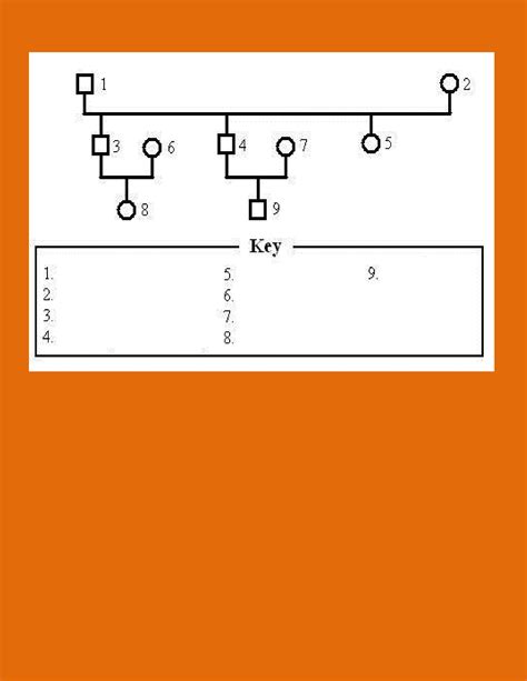 30 Free Genogram Templates & Symbols ᐅ TemplateLab