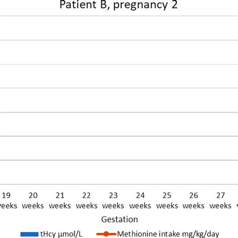 Total Homocysteine Levels And Methionine Intake For Patient B