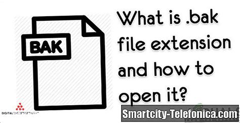 Bak File Extension A Guide On Opening And Understanding It Updated