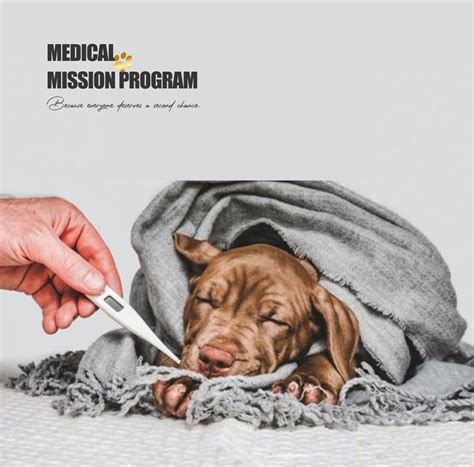 Medical Mission Program - I STAND WITH MY PACK