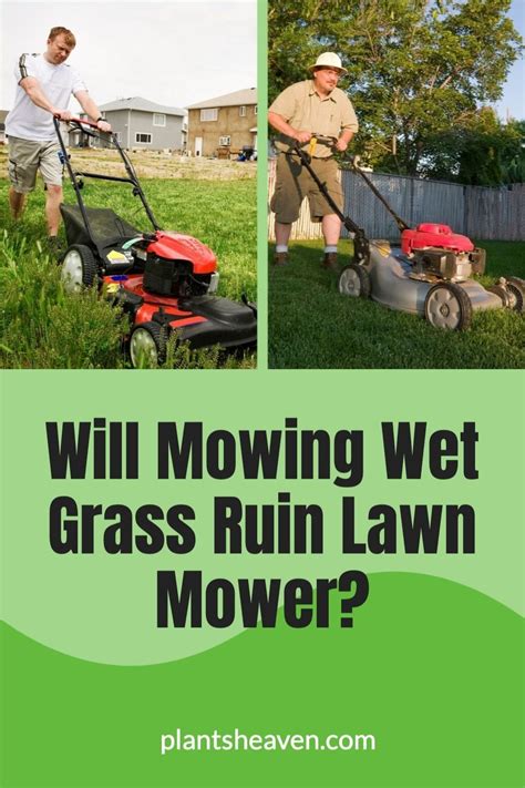 7 Best Lawn Mowers For Wet Grass Artofit