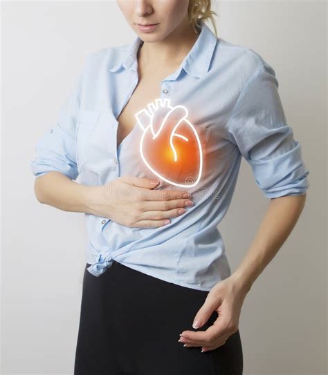 Anatomy Of Heart Human Heart Model And Cardiograph Closeup Stock Image