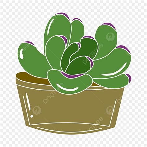 Plant Pots Png Picture Beautiful Plant Potted Free Illustration Green